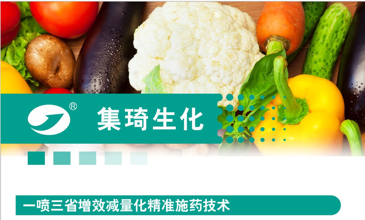 一噴三省增效減量化精準施藥技術(shù)在蔬菜上的應用