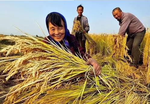 重磅！繼包產(chǎn)到戶(hù)之后，我國(guó)農(nóng)村又一次迎來(lái)重大改革