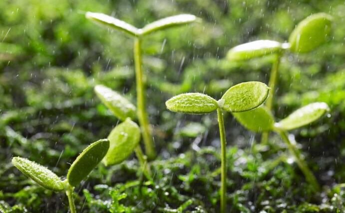 動態(tài) | 生物刺激劑多重效果大揭秘，可減少百萬噸氮肥的投入！